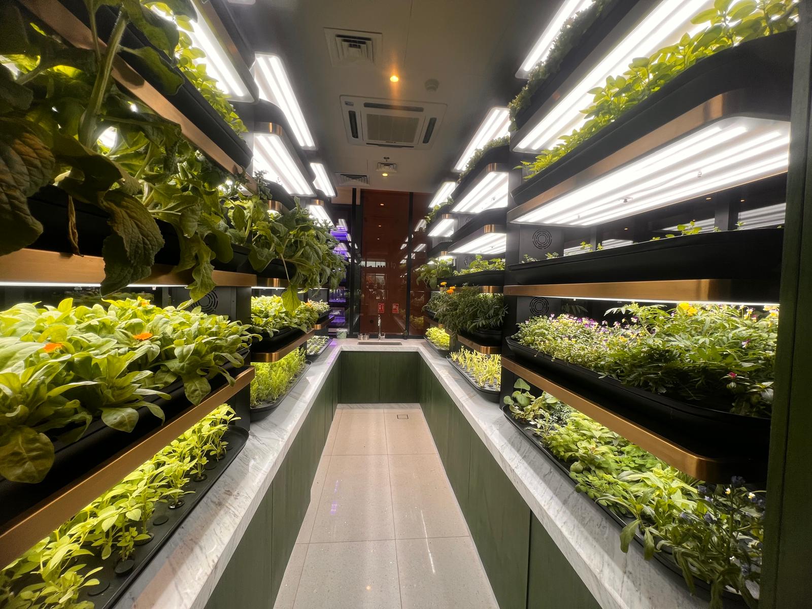 vertical farm